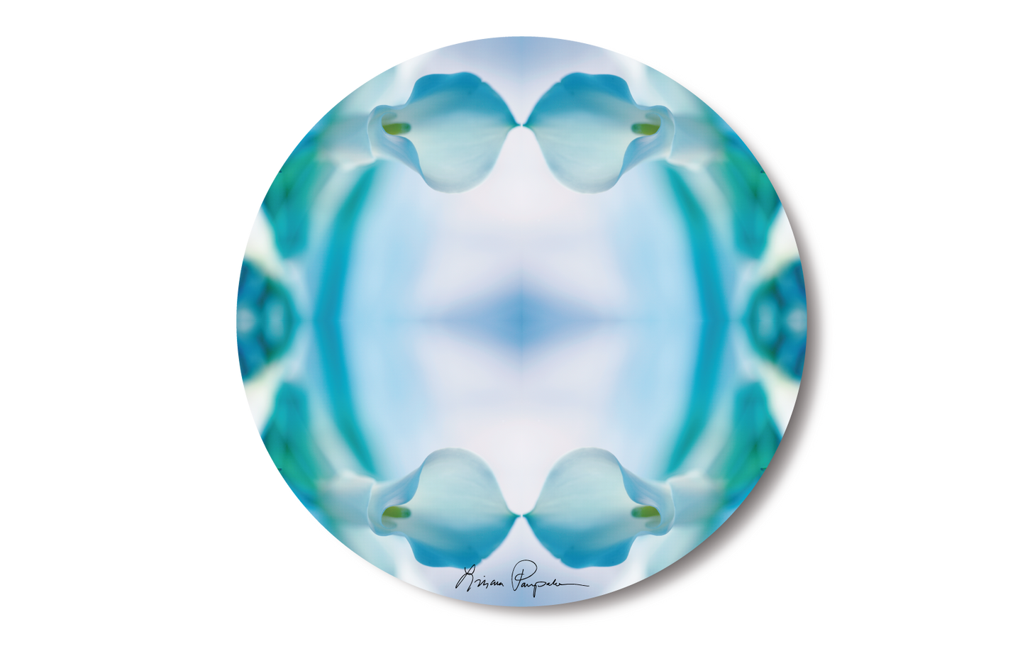 Aqua Calla by LP