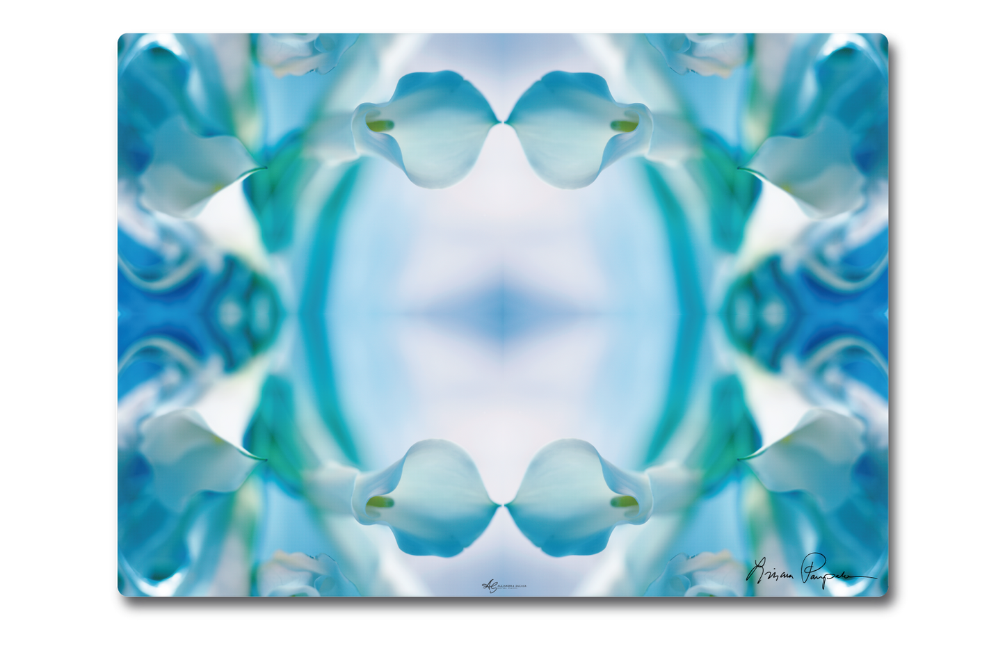 Aqua Calla by LP
