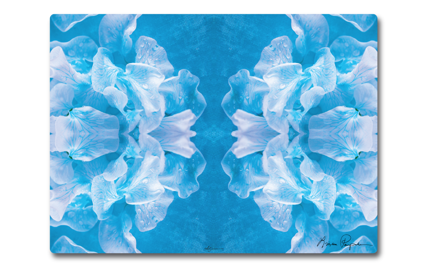 Azure Fluer by LP