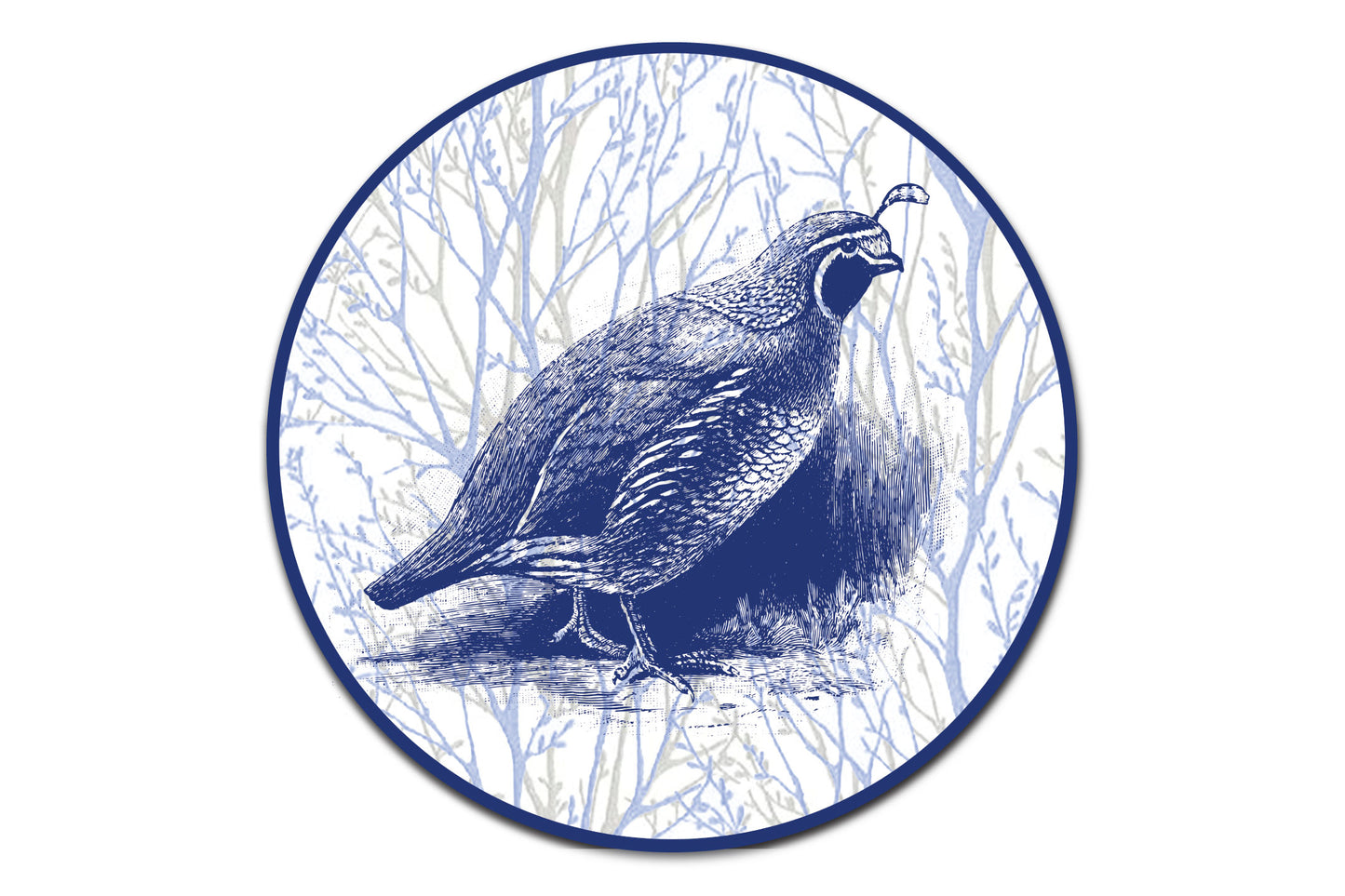 Fancy Flock