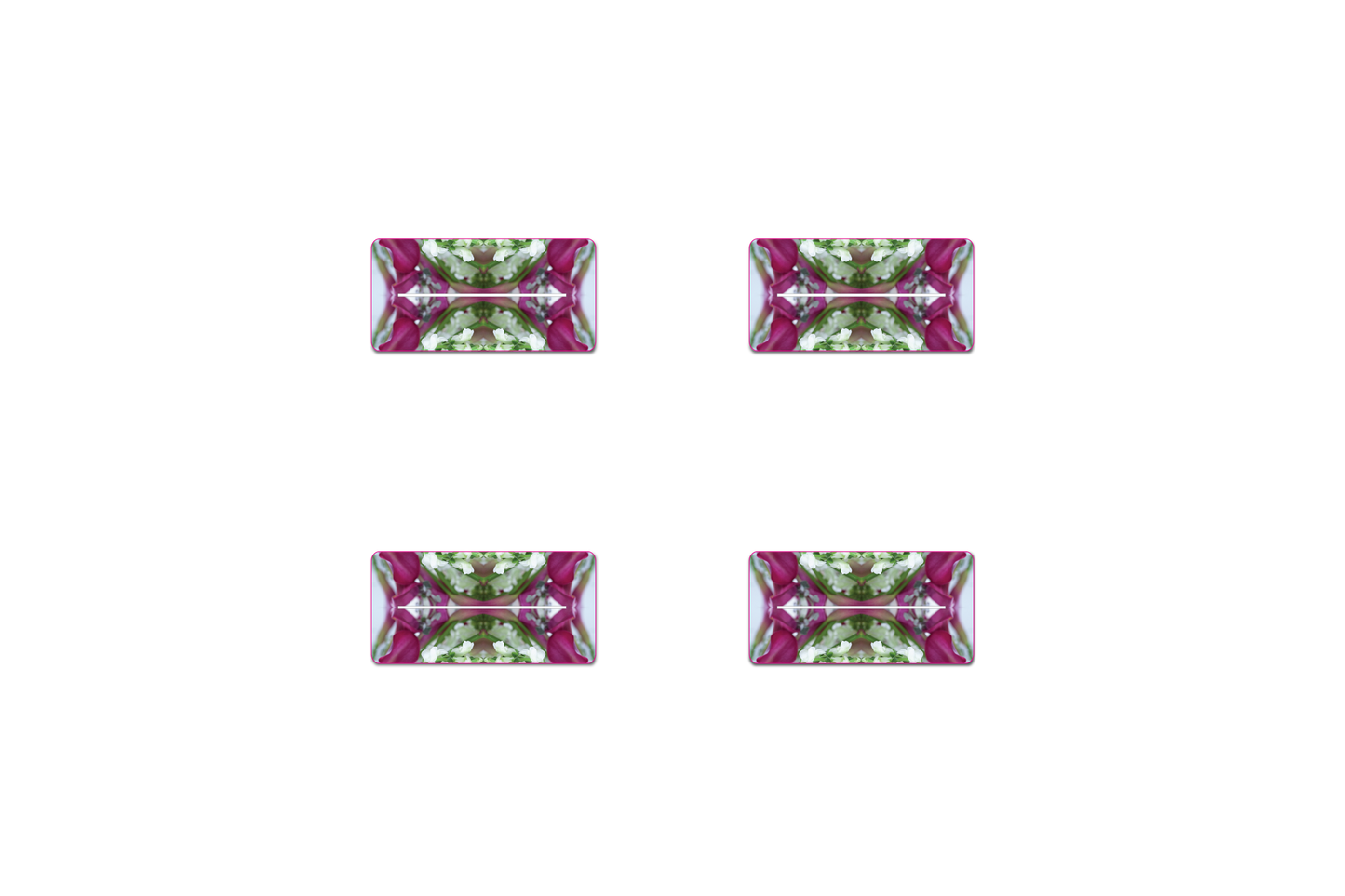 Fuchsia Summer by LP