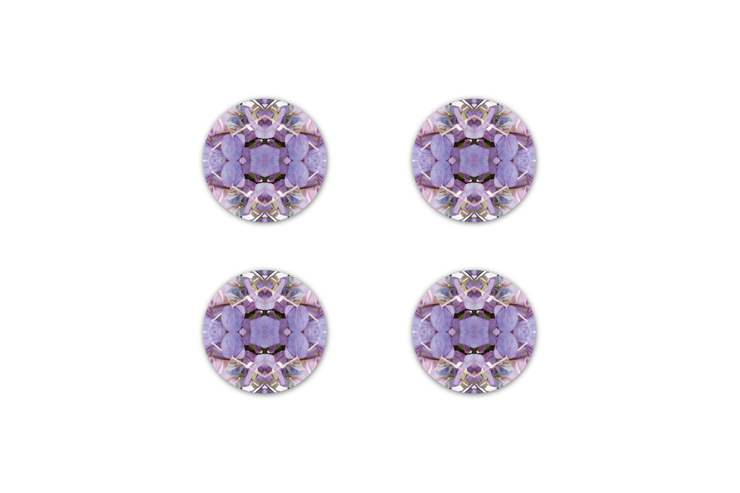 Lavender Rose 1 by LP