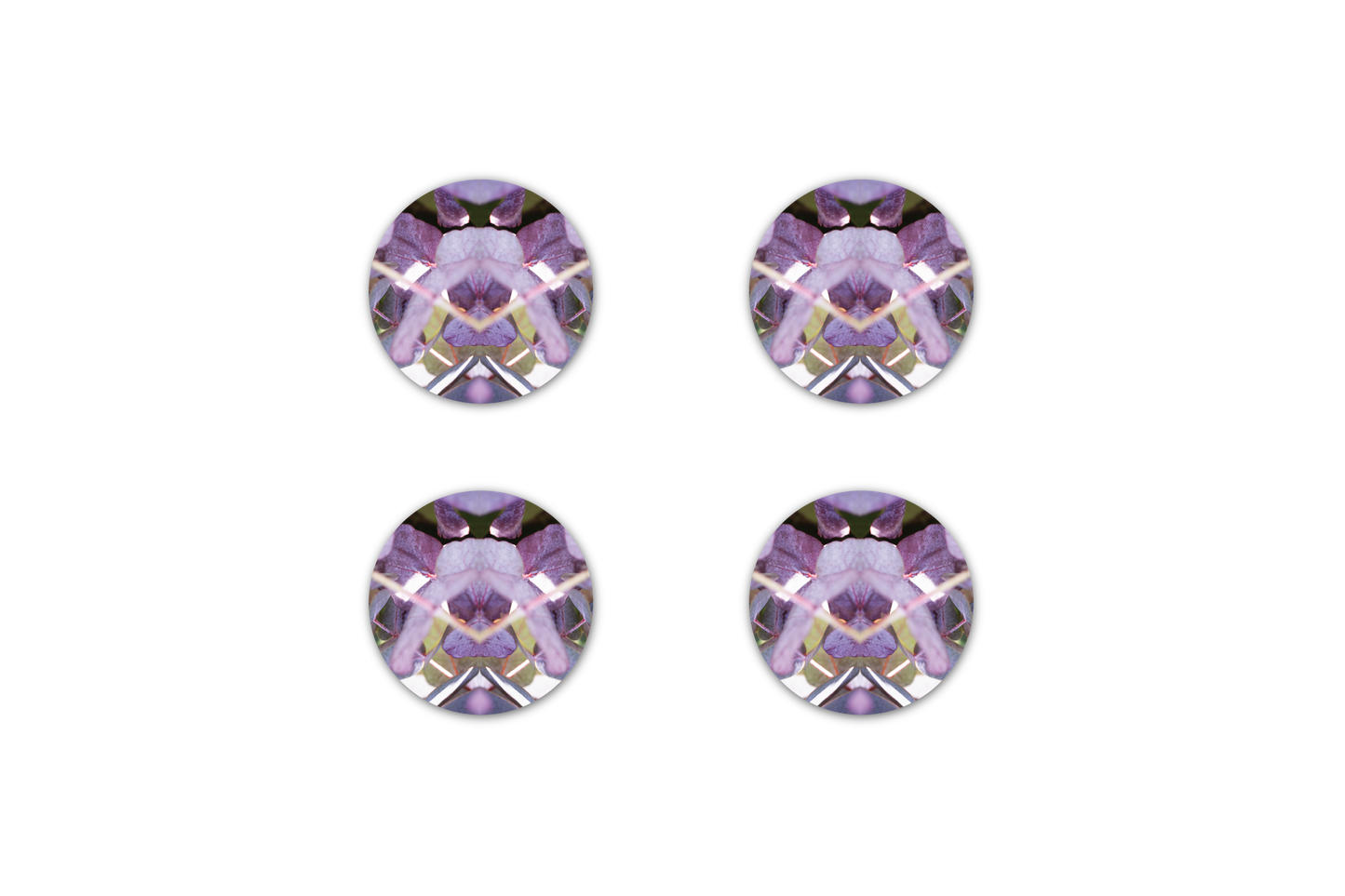Lavender Rose 2 by LP