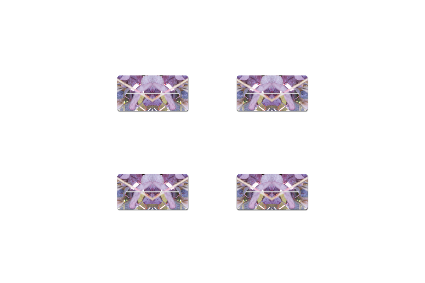 Lavender Rose 2 by LP